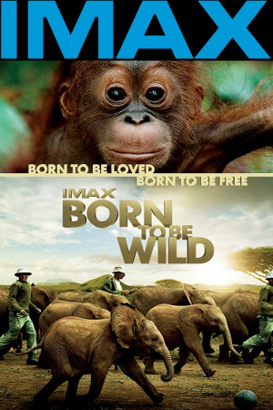 ველურებად დაბადებულნი ქართულად | Born to Be Wild qartulad
