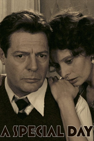 განსაკუთრებული დღე ქართულად | A Special Day qartulad