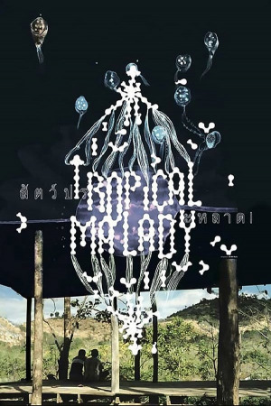 ტროპიკული დაავადება ქართულად | Tropical Malady qartulad