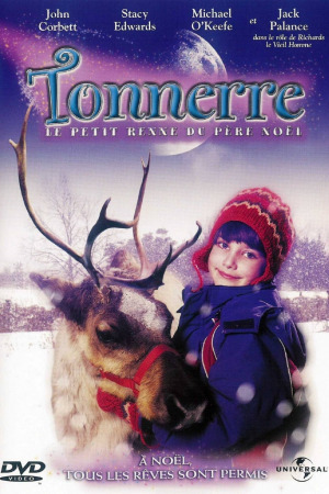 ჩრდილოეთის ირმის დაბრუნება ქართულად | Prancer Returns qartulad