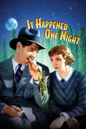 ეს მოხდა ერთხელ ღამით ქართულად | It Happened One Night qartulad