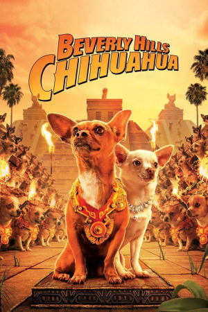 პატარა ბევერლი – ჰილზიდან ქართულად | Beverly Hills Chihuahua qartulad