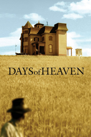 მკის დღეები ქართულად | Days of Heaven qartulad