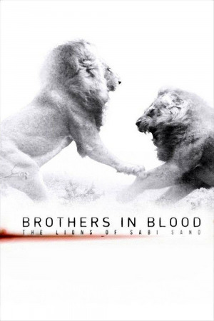 მეფედ დაბადებულნი ქართულად | Brothers in Blood: The Lions of Sabi Sand qartulad