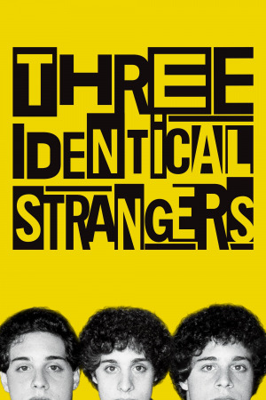 სამი იდენტური უცნობი ქართულად | Three Identical Strangers qartulad