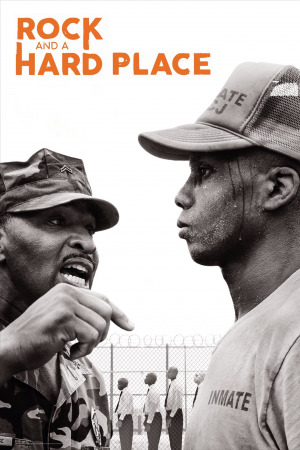 ბოლო შანსი კლდესავით ჯონსონთან ქართულად | Rock and a Hard Place qartulad