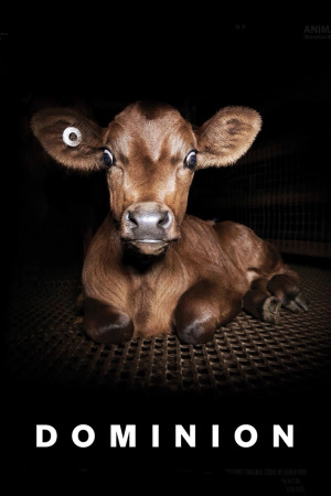 დომინიონი ქართულად | Dominion qartulad