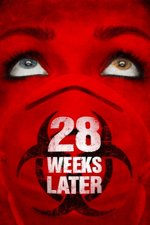 28 კვირის შემდეგ ქართულად | 28 Weeks Later qartulad