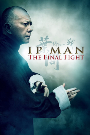 იპ მანი: ბოლო ბრძოლა ქართულად | Ip Man: The Final Fight qartulad