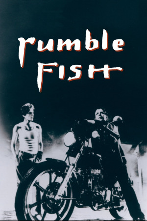 მებრძოლი თევზი ქართულად | Rumble Fish qartulad