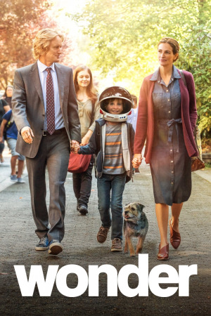 საოცრება ქართულად | Wonder qartulad